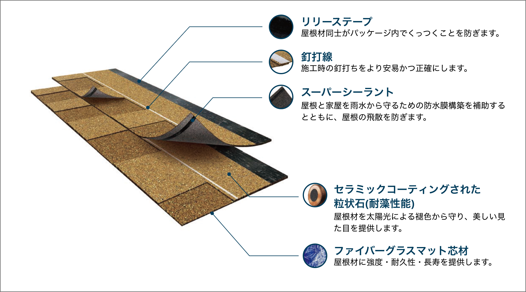 断面構造図